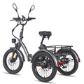 FAFREES F20 Mate E-Lastenrad - Motor 500W Akku 48V21AH 20-Zoll-Rädern Hydraulische Bremsen - Grau