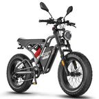 FAFREES F20 Ultra E-Bike - Motor 750W Akku 48V25AH 20-Zoll-Rädern Hydraulische Scheibenbremsen - Grau