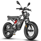 FAFREES F20 Ultra Upgrade E-Bike - Motorleistung 750W Akku 48V25AH 20-Zoll-Räder Mechanische Scheibenbremsen - Grau