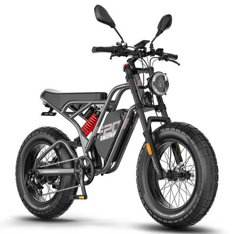 FAFREES F20 Ultra Upgrade E-Bike - Motorleistung 750W Akku 48V25AH 20-Zoll-Räder Mechanische Scheibenbremsen - Grau