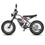 FAFREES F20 Ultra E-Bike - Motor 750W Akku 48V25AH 20-Zoll-Rädern Hydraulische Scheibenbremsen - Grau