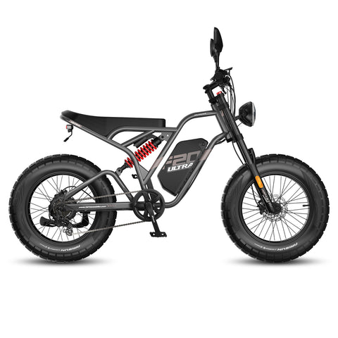 FAFREES F20 Ultra E-Bike - Motor 750W Akku 48V25AH 20-Zoll-Rädern Hydraulische Scheibenbremsen - Grau
