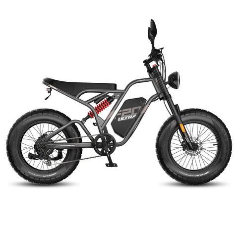 FAFREES F20 Ultra Upgrade E-Bike - Motorleistung 750W Akku 48V25AH 20-Zoll-Räder Mechanische Scheibenbremsen - Grau