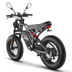 FAFREES F20 Ultra E-Bike - Motor 750W Akku 48V25AH 20-Zoll-Rädern Hydraulische Scheibenbremsen - Grau