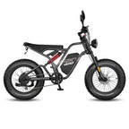 FAFREES F20 Ultra Vélo électrique (Homologation UE L1e-B) - Moteur 750W Batterie 48V25AH Roues 20 pouces Freins mécaniques - Noir