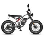 FAFREES F20 Ultra Electric Bike (EU Type-Approval L1e-B) - 750W Motor 48V25AH Battery 20-inch Wheels Hydraulic Brakes - Grey