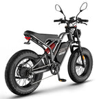 FAFREES F20 Ultra Vélo électrique (Homologation UE L1e-B) - Moteur 750W Batterie 48V25AH Roues 20 pouces Freins mécaniques - Gris