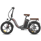 Vélo électrique FAFREES F20+ Pro - Moteur 250W Batterie 36V22.5Ah Roues 20 pouces Frein à disque mécanique - Gris