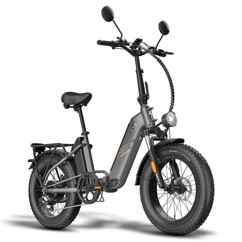 E-Bike FAFREES FF20 Polar - Motor 500W Akku 48V24Ah 20 Zoll Räder Mechanische Scheibenbremse - Grau
