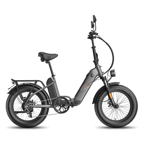 E-Bike FAFREES FF20 Polar - Motor 500W Akku 48V24Ah 20 Zoll Räder Mechanische Scheibenbremse - Grau