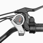 Vélo électrique Heybike Cityscape - Batterie 250 W 36 V 10 Ah Pneus 26 pouces Freins à disque mécaniques - Rose