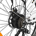 Vélo électrique Heybike Cityscape - Batterie 250 W 36 V 10 Ah Pneus 26 pouces Freins à disque mécaniques - Rose