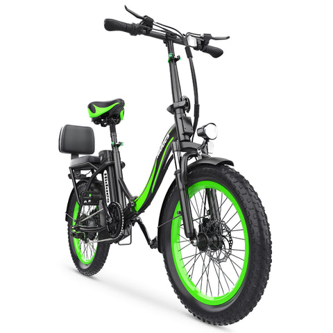 Hidoes HD-C1 E-Bike - 750W Motor 48V13AH Akku 20 Zoll Reifen Scheibenbremsen - Grün