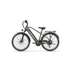 E-Bike JASION EB5 Roamer - Motor 500W Akku 48V10AH 26 Zoll Räder  mechanische Scheibenbremse - Grün