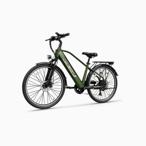 E-Bike JASION EB5 Roamer - Motor 500W Akku 48V10AH 26 Zoll Räder  mechanische Scheibenbremse - Grün