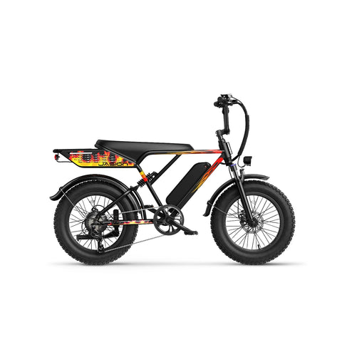 E-Bike JASION RetroVolt - 500W Akku 48V12.5Ah 20 Zoll Reifen Mechanische Scheibenbremse - Schwarz