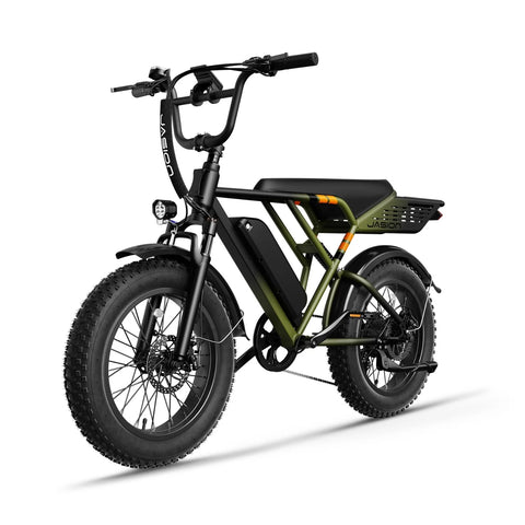 E-Bike JASION RetroVolt - 500W Akku 48V12.5Ah 20 Zoll Reifen Mechanische Scheibenbremse - Grün