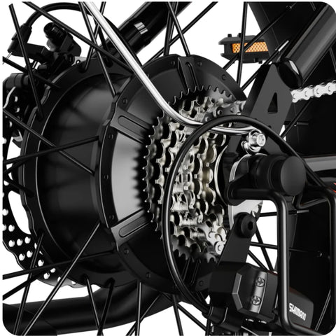 E-Bike JASION RetroVolt - 500W Akku 48V12.5Ah 20 Zoll Reifen Mechanische Scheibenbremse - Grün