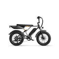 E-Bike JASION RetroVolt - 500W Battery 48V12.5Ah 20 Inch Tires Mechanical Disc Brake - Silver Gradient