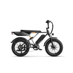 E-Bike JASION RetroVolt - 500W Battery 48V12.5Ah 20 Inch Tires Mechanical Disc Brake - Silver Gradient