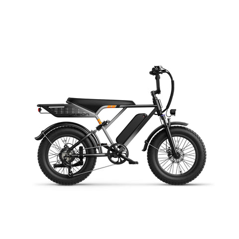 E-Bike JASION RetroVolt - 500W Akku 48V12.5Ah 20 Zoll Reifen Mechanische Scheibenbremse - Silberverlauf