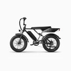 E-Bike JASION RetroVolt - 500W Battery 48V12.5Ah 20 Inch Tires Mechanical Disc Brake - Silver Gradient