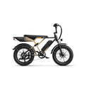 Vélo électrique JASION RetroVolt - Batterie 500W 48V12.5Ah Pneus 20 pouces Freins à disque mécaniques - Kaki