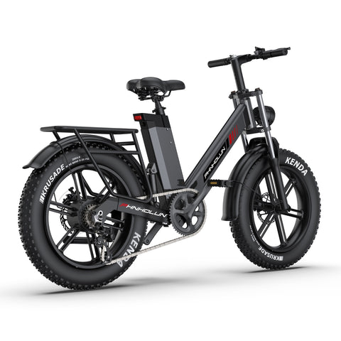PHNHOLUN C6 Pro E-Bike - 1000W Motor 48V17.5AH Akku 20 Zoll Reifen Scheibenbremse - Schwarz