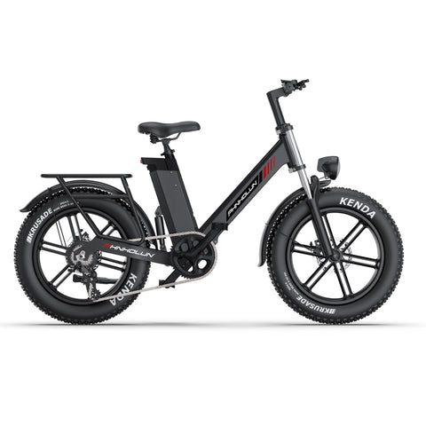 PHNHOLUN C6 Pro E-Bike - 1000W Motor 48V17.5AH Akku 20 Zoll Reifen Scheibenbremse - Schwarz