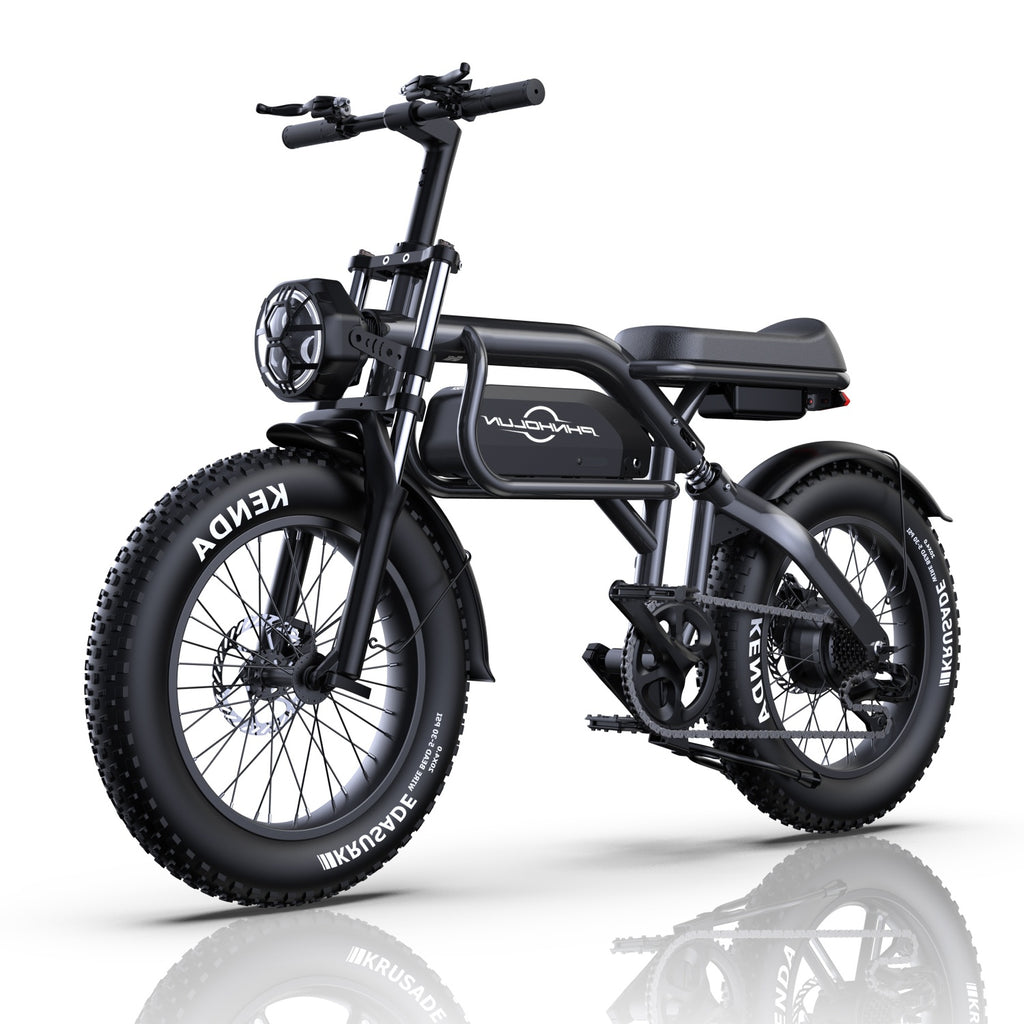 Vélo électrique PHNHOLUN C8 FT - Moteur 1000W Batterie 48V20AH Pneus 20 pouces Frein à disque - Noir