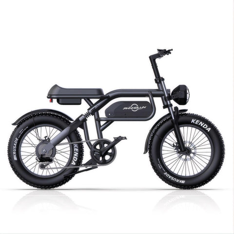 PHNHOLUN C8 FT E-Bike - 1000W Motor 48V20AH Akku 20 Zoll Reifen Scheibenbremse - Schwarz