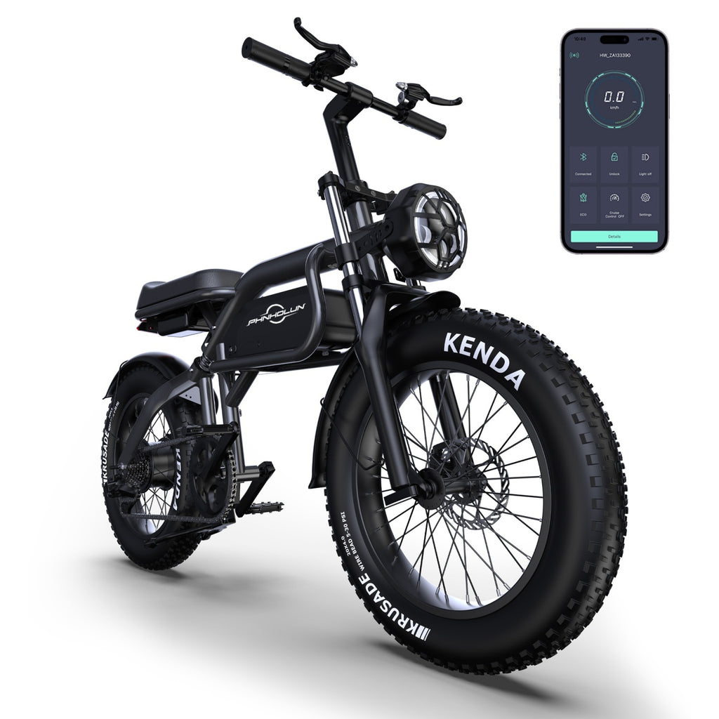 Vélo électrique PHNHOLUN C8 FT - Moteur 1000W Batterie 48V20AH Pneus 20 pouces Frein à disque - Noir