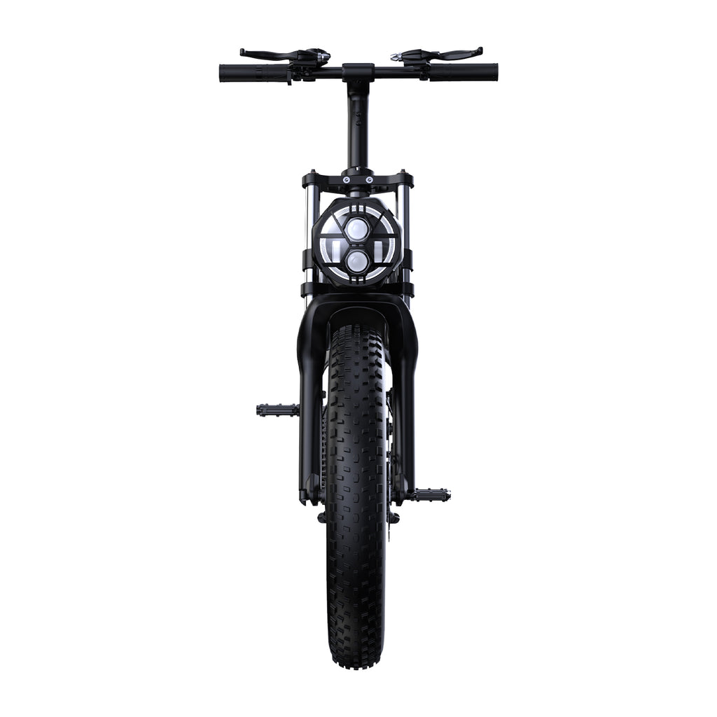 Vélo électrique PHNHOLUN C8 IT - Moteur 1000 W Batterie 48 V 20 Ah Pneus 20 Pouces Frein à Disque - Noir