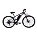 Vélo électrique PVY M29 - Moteur 250W Batterie 48V17.5Ah Freins à disque mécaniques 29 pouces - Gris