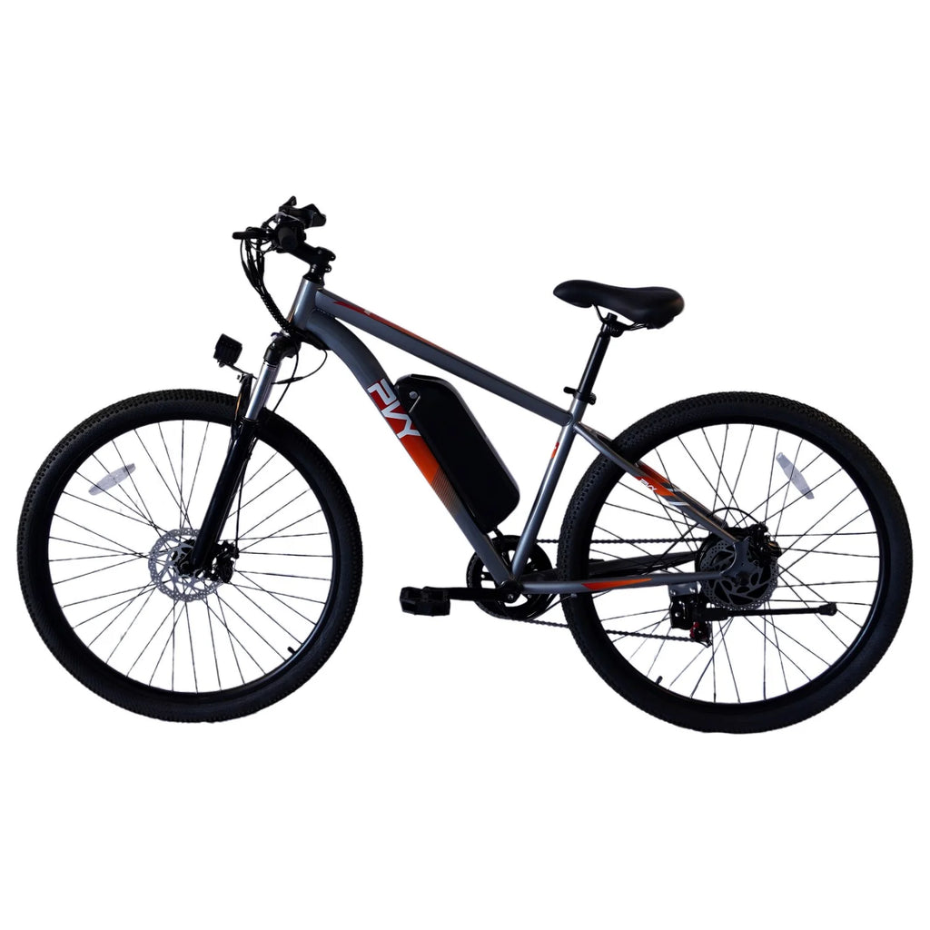 Vélo électrique PVY M29 - Moteur 250W Batterie 48V17.5Ah Freins à disque mécaniques 29 pouces - Gris