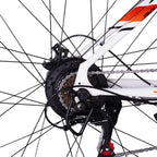 Vélo électrique PVY M29 - Moteur 250W Batterie 48V17.5Ah Freins à disque mécaniques 29 pouces - Gris