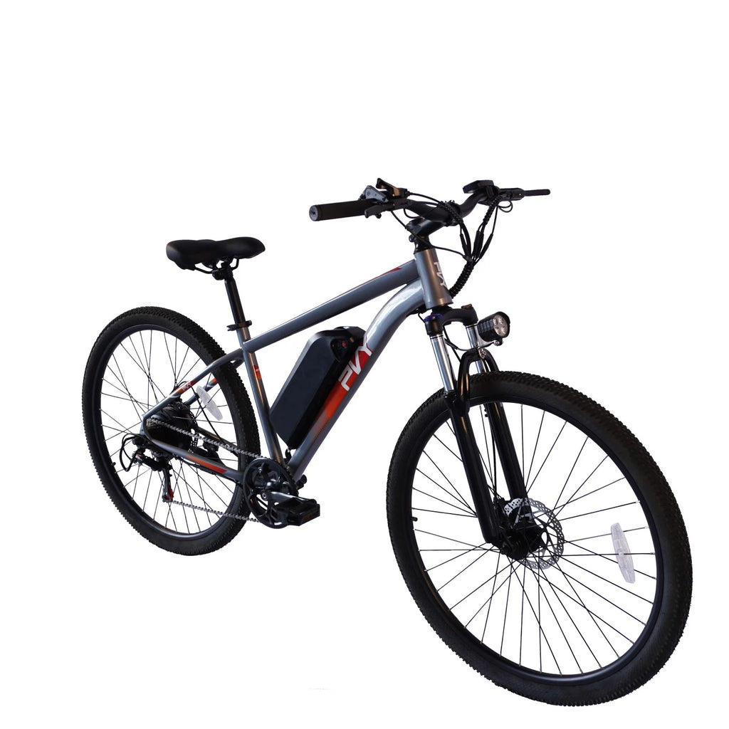 Vélo électrique PVY M29 - Moteur 250W Batterie 48V17.5Ah Freins à disque mécaniques 29 pouces - Gris
