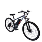 Vélo électrique PVY M29 - Moteur 250W Batterie 48V17.5Ah Freins à disque mécaniques 29 pouces - Gris