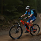 PVY M29 Vélo électrique - Moteur 250W Batterie 48V17.5Ah Freins à disque mécaniques 29 pouces - Orange