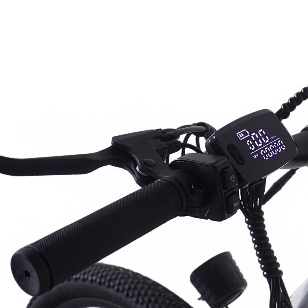 PVY M29 Vélo Électrique - Moteur 250W Batterie 48V17.5Ah Freins à Disque Mécaniques 29 Pouces - Blanc