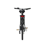 PIXAR CITY1 250W 36V 10,4Ah E-Bike 120KG 15° Steigung Grau