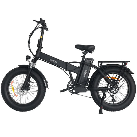 Windgoo F21 Pro Elektrisches Fahrrad - Motor 250W Batterie 48V 12.5Ah 20x4.0 Zoll Fett - Schwarz
