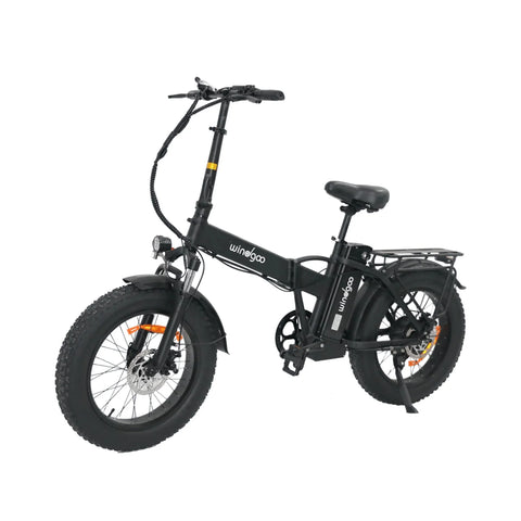 Windgoo F21 Pro Elektrisches Fahrrad - Motor 250W Batterie 48V 12.5Ah 20x4.0 Zoll Fett - Schwarz