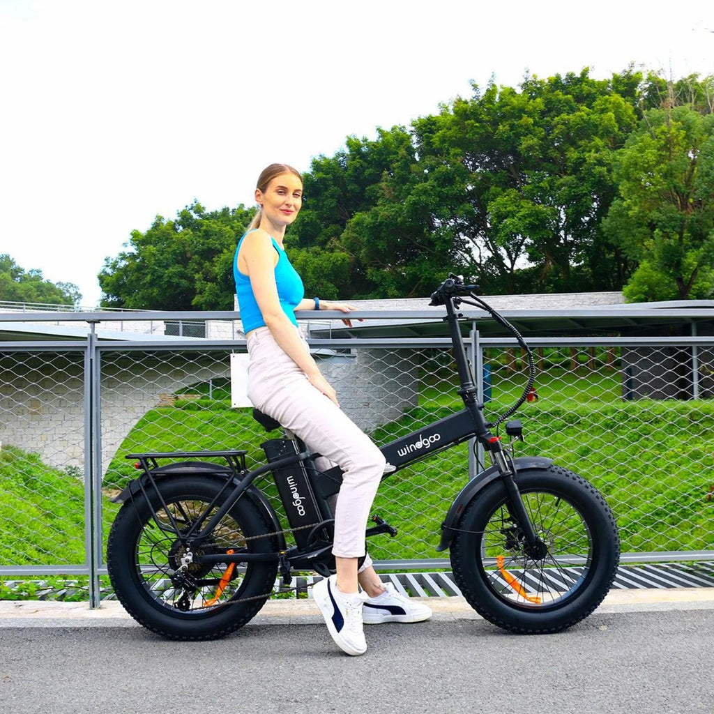Windgoo F21 Pro Vélo Électrique - Moteur 250W Batterie 48V 12.5Ah Pneus 20x4.0 Pouces Fat - Noir