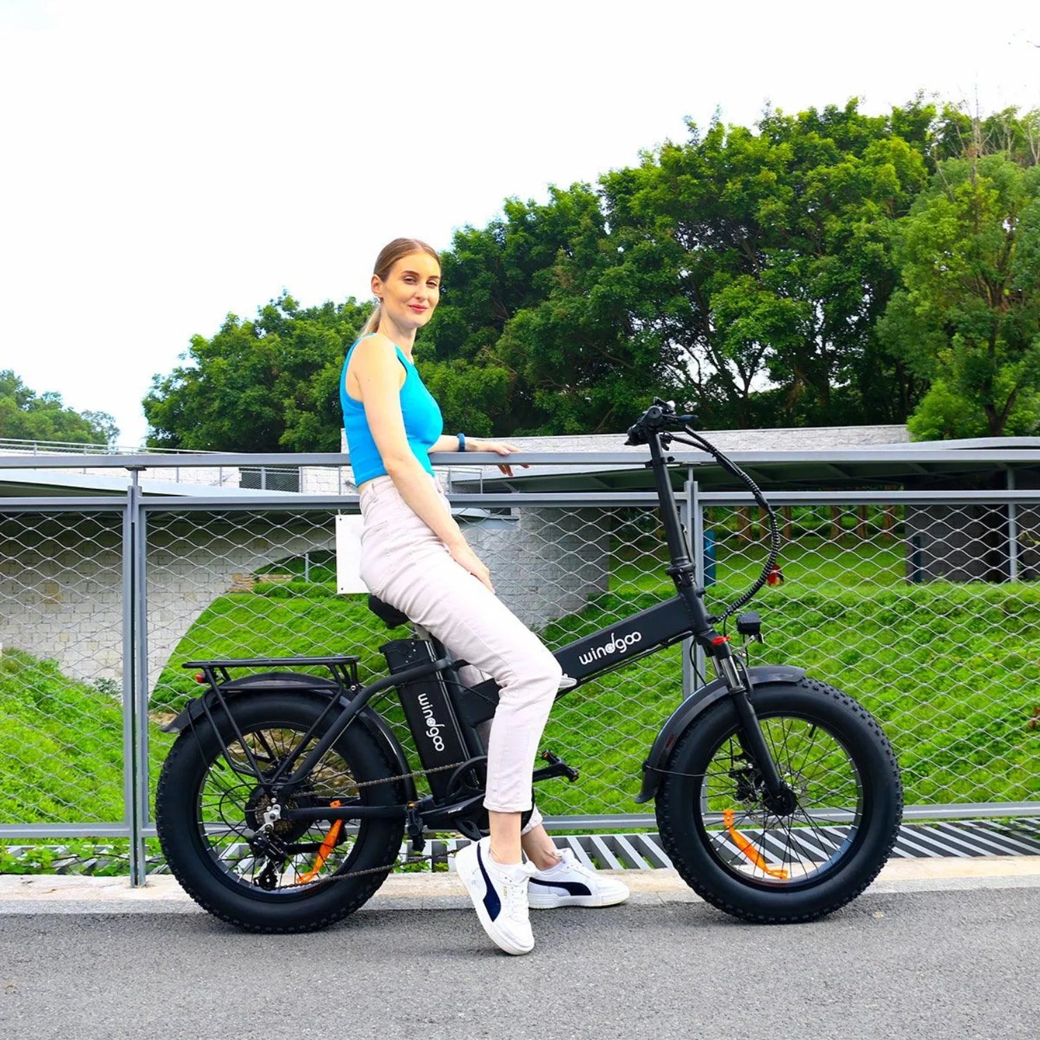 Windgoo F21 Pro Vélo Électrique - Moteur 250W Batterie 48V 12.5Ah Pneus 20x4.0 Pouces Fat - Noir