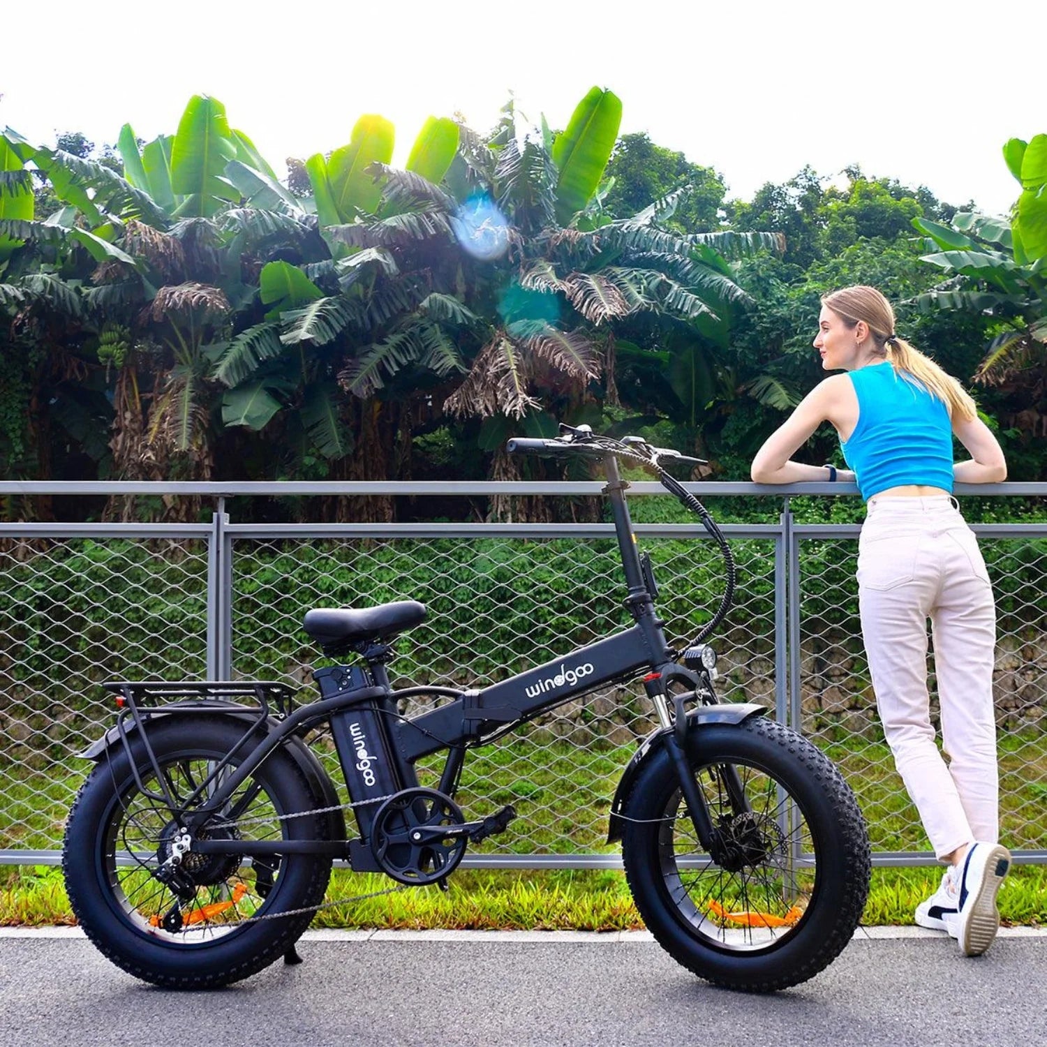 Windgoo F21 Pro Vélo Électrique - Moteur 250W Batterie 48V 12.5Ah Pneus 20x4.0 Pouces Fat - Noir