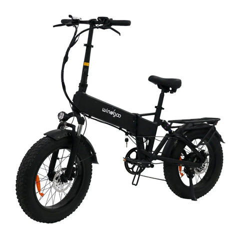 Windgoo F22 Pro Klappbares E-Bike - Motor 250W Batterie 48V 12.5Ah 20x4.0 Zoll Fett LCD Fahrrad - Schwarz