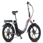 Vélo électrique FAFREES F20 - Moteur 250W Batterie 576Wh Autonomie 70KM - Gris