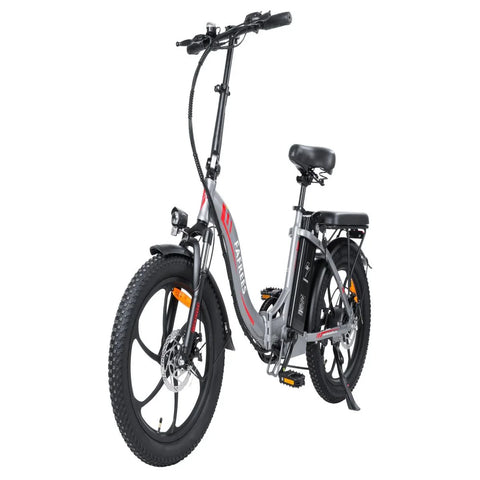 Elektrofahrrad FAFREES F20 - 250W Motor 576WH Akku 70KM Reichweite - Grau