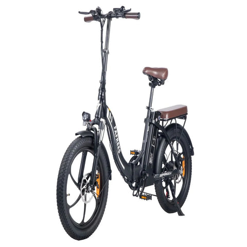 Elektrisches Fahrrad FAFREES F20 Pro | 250W Motor 648WH Batterie 80KM Reichweite | Schwarz